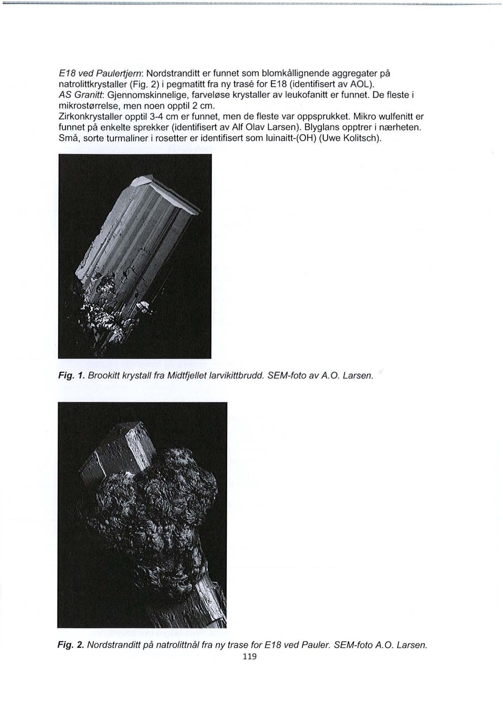 E18 ved Paulertjern: Nordstranditt er funnet som blomkallignende aggregater pa natrolittkrystaller (Fig. 2) i pegmatitt fra ny trase for E18 (identifisert av AOL).