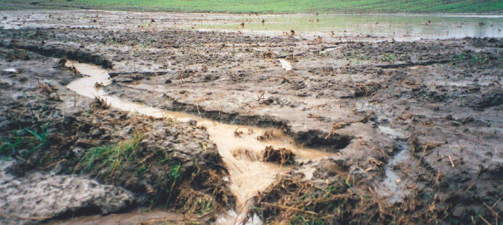 Erosjon Graden av erosjon varierer med ulike bruksmåter, dyrkingssystemer og ulike naturforhold, som nedbør, vind, jordart og topografi.