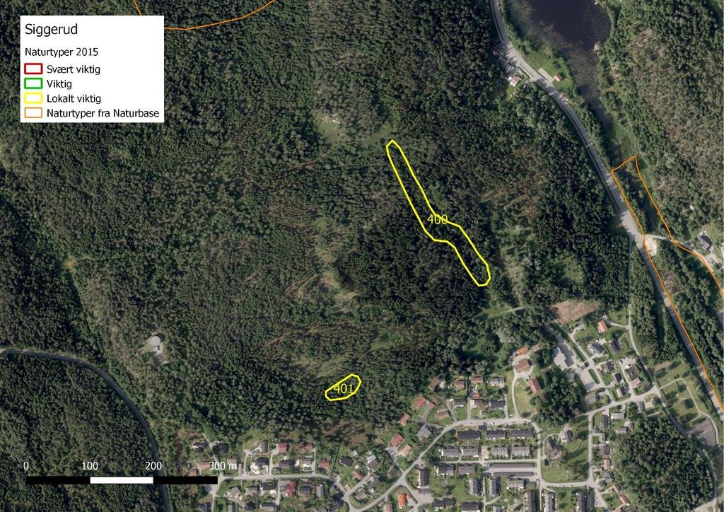 Lokalitet 400. Siggerud N. Gammel granskog En nord/sørgående smal bekkedal med frodig, noe rikere og mer variert granskog. Her er noe løvskog og sumppartier langs bekken og en del dødvedinnslag.