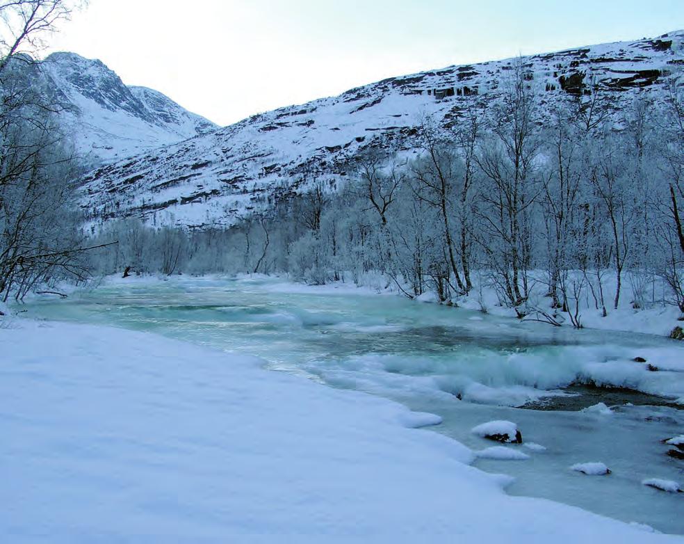 Overføring av Tverrdalselva til Storvatnet i Håkvikdal Virkninger på vanntemperatur,