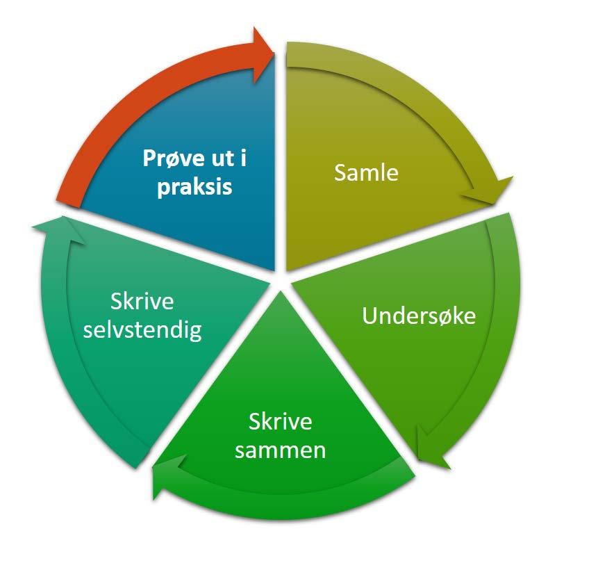 Prøve ut i praksis Hvem kan du prøve sammen med? Hvor kan du prøve det ut?