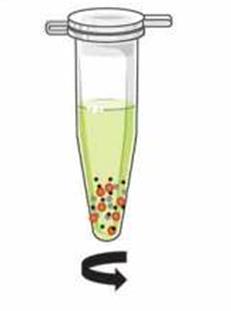 mars 2017, Size and concentration analyses of extracellular vesicles by