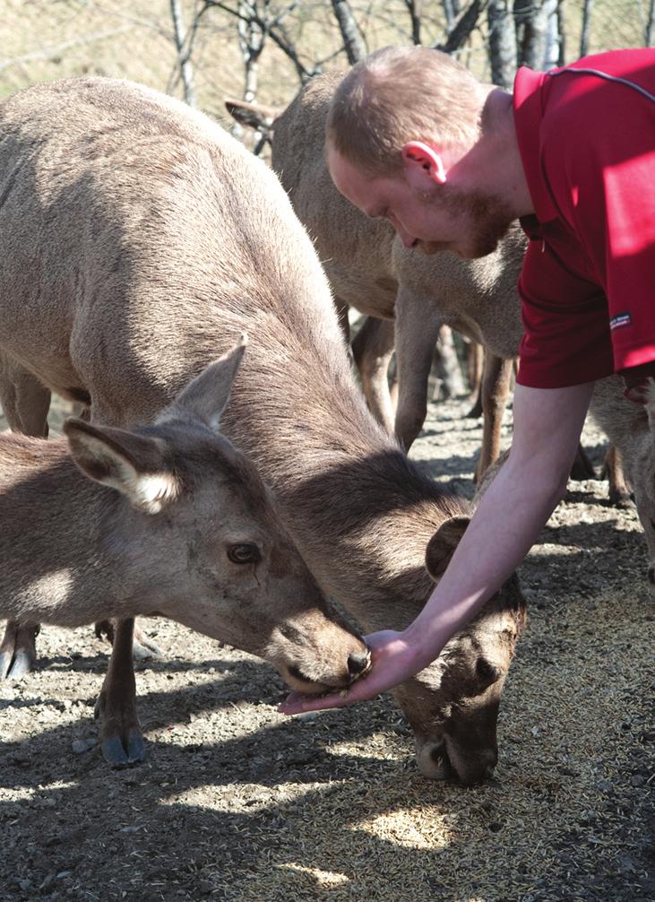 Dette er vekstbedriftene Bedriftene lager produkter og tjenester for over 1 milliard kroner hvert år. 75 prosent av de 9.