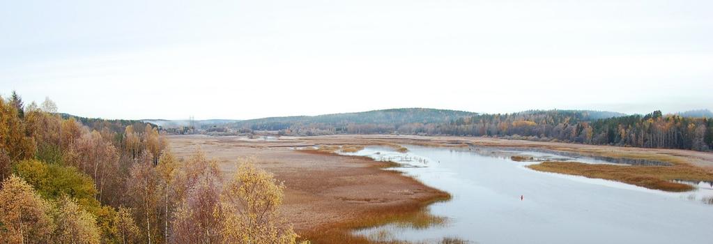 Fritidseiendommen på Sand skimtes ved skogskanten. Foto: Norsk Bane AS.