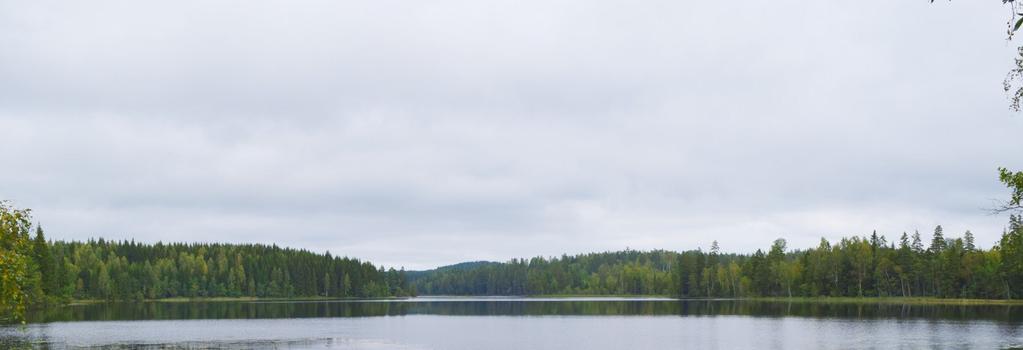 Bilde 3-21: Ved Sillingsfors finnes et elve- og damlandskap, rikt