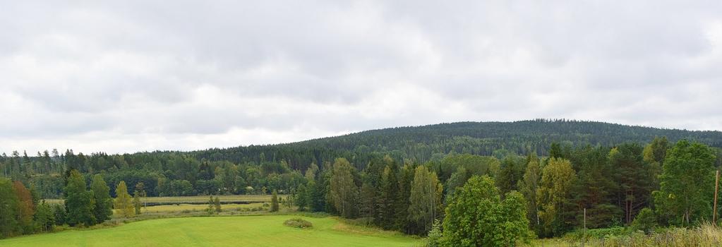 Bilde 3-22: Broen fra Sillingebyn til Nygård foreslås gjennom skogen til høyre, med sporene på om lag samme høyde som tretoppene, og videre over en smal del av innsjøen Lången (i bakgrunnen), mot