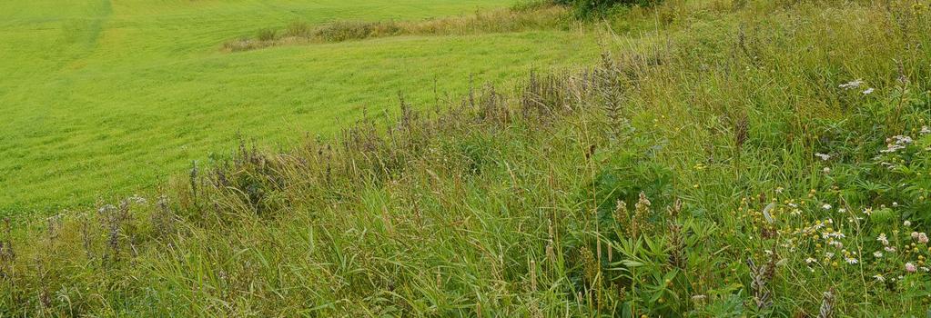 Vurdering av ulike varianter mellom Långserud stasjon og Grums / Vålberg Øst for Långserud stasjon foreslås en trasé langs nordsiden av Smedbymossen, på bro nær E18 over Byälven og våtmarksområdet