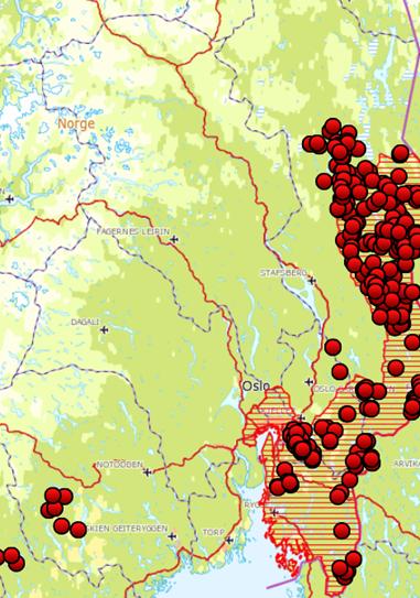 Selv om vi har hatt årsvisse skadesituasjoner med ulv de senere år, er forekomsten av ulv i Oppland vinterstid, dvs i lisensfellingsperioden svært beskjeden (se kartutsnitt nedenfor 2014-2016/17, fig