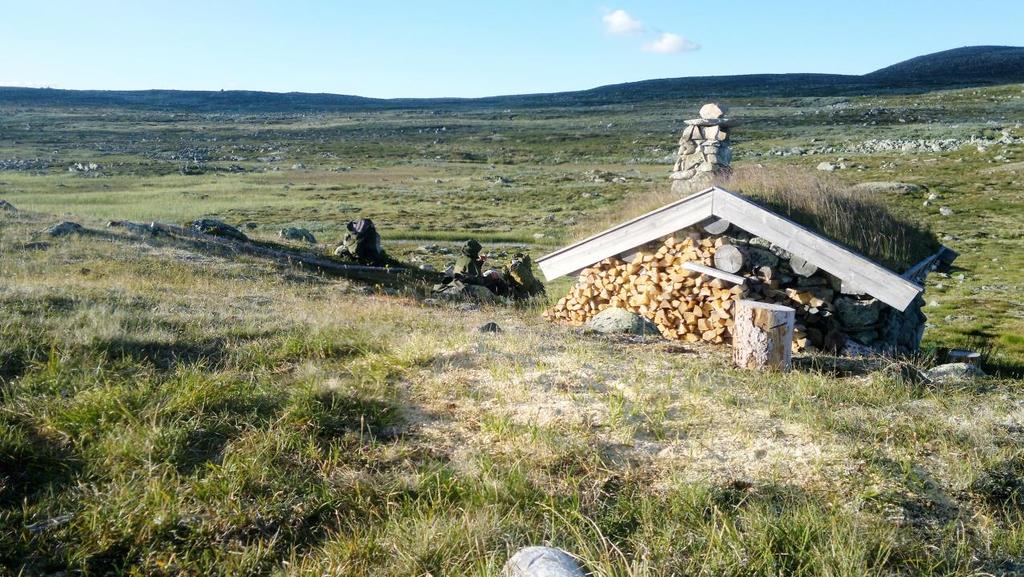 Foto: HJJ Slik skal veden være gjort opp! Ordentlige fjellfolk tenker alltid på nestemann som kommer til bua. Tørr ved inne gjort opp til oppnøring skal være en selvfølge. Her fra Elsjådalen. 4.