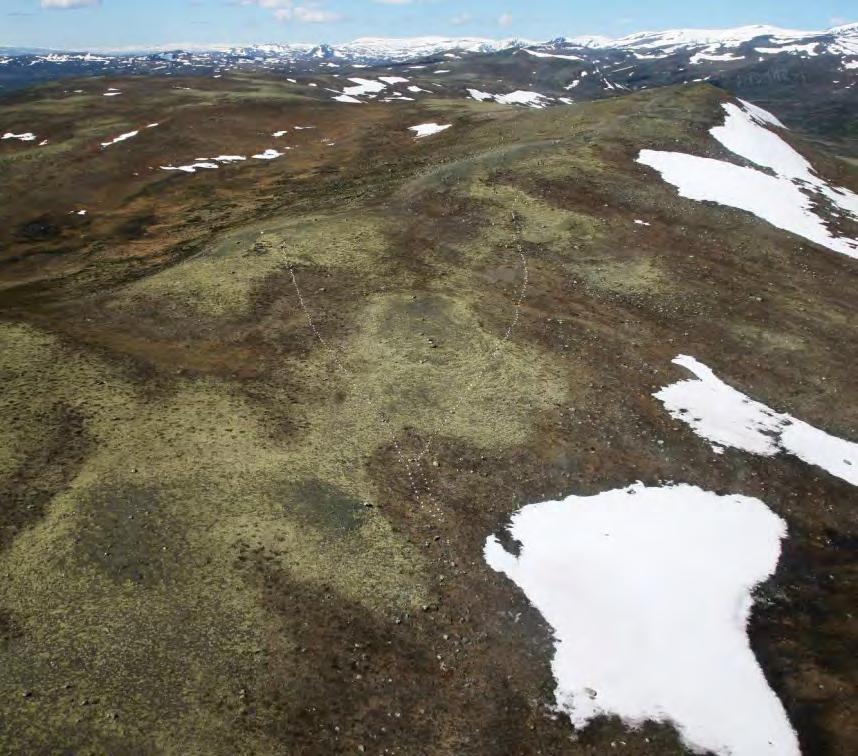 Flyfoto av massefangstanlegg ved Vålåsjøhøi. Funnet 2009. Stolpehull er markert med hvitt.