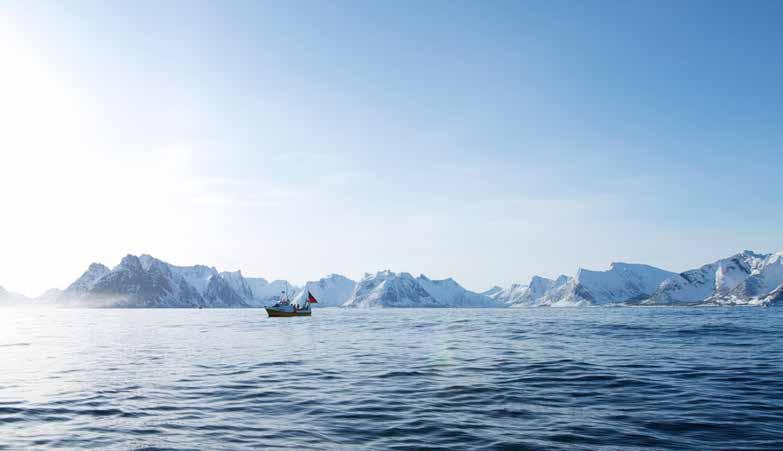 FISKERI- OG HAVBRUKSNÆRINGENS