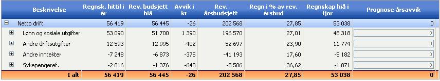 Dette fremkommer under avvik for andre inntekter. Rapport 201003 (mars) Helse- og sosial etaten Dette er tallmaterialet enhetene skal rapportere på pr. mars.