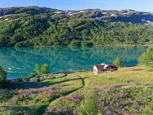 De spesielle klimaforholdene i Nord Gudbrandsdalen og Ottadalen, med ekstremt lite nedbør, tynt snødekke, lave vintertemperaturer og relativt høye sommertemperaturer sammen