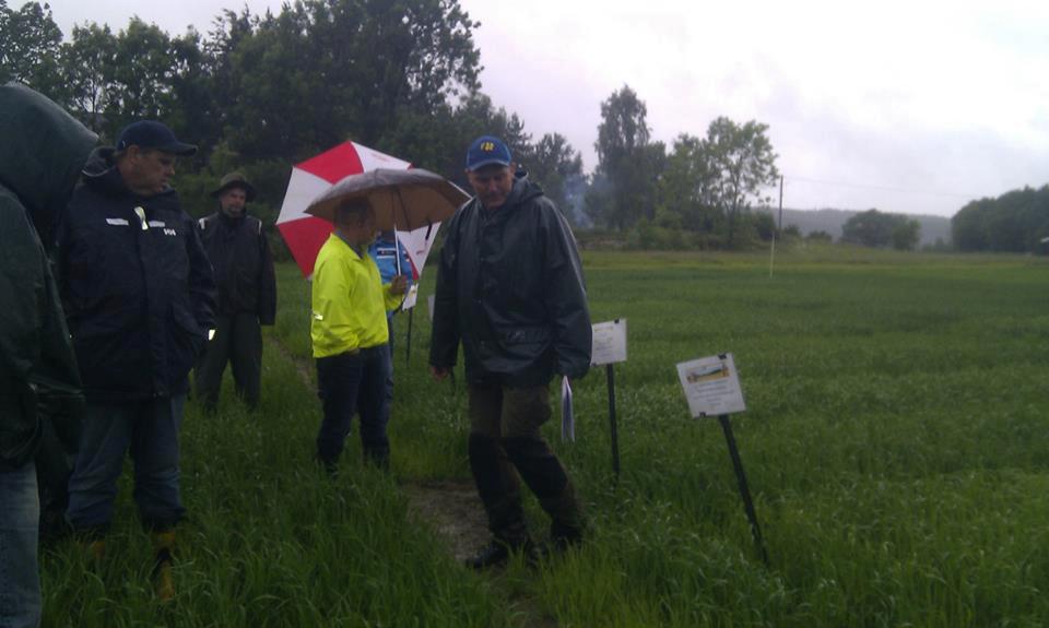 Øsaker 26. juni 12 personer trosset striregnet på Øsaker onsdag 26. juni 2013. To av lagene i konkurransen var representert.