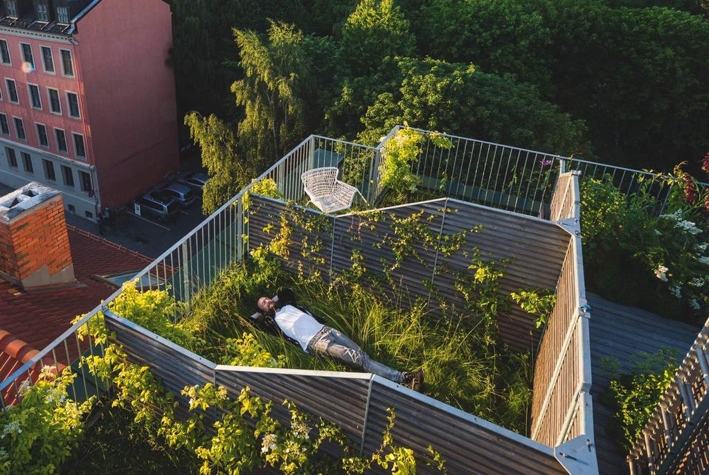 D36 Green house, Oslo, 2013 Arkitekter: