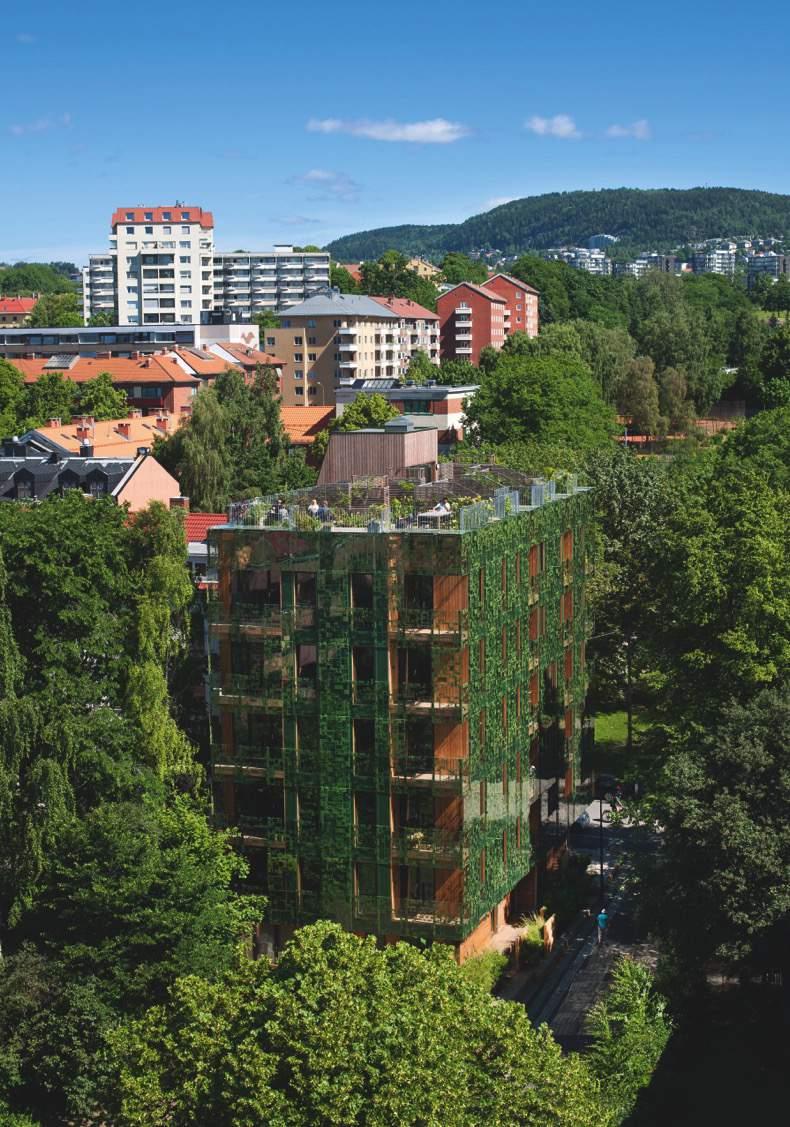 D36 Green house, Oslo, 2013 Arkitekter: