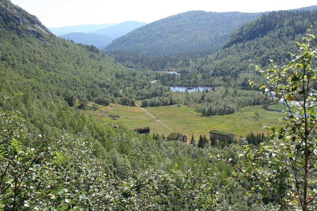 De to gårdene på Hisdal hadde slåttearealene sine i Støyldalen som ligger litt lengre vest i dalen. Støyldalen er ikke kartlagt i denne forbindelse.