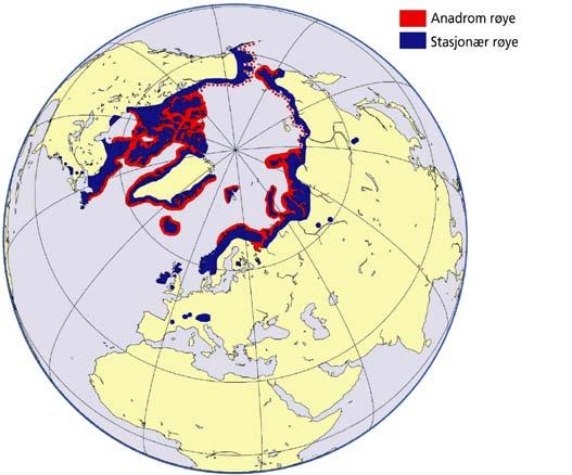 Arresjøen ligger i et område av Svalbard der deler av kystsonen kan ha vært isfri de siste 65 000 år (Boulton 1979, Landvik et al. 2003).