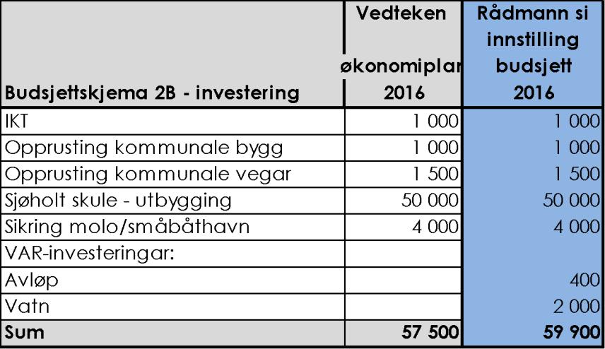 Synnes Økonomisjef