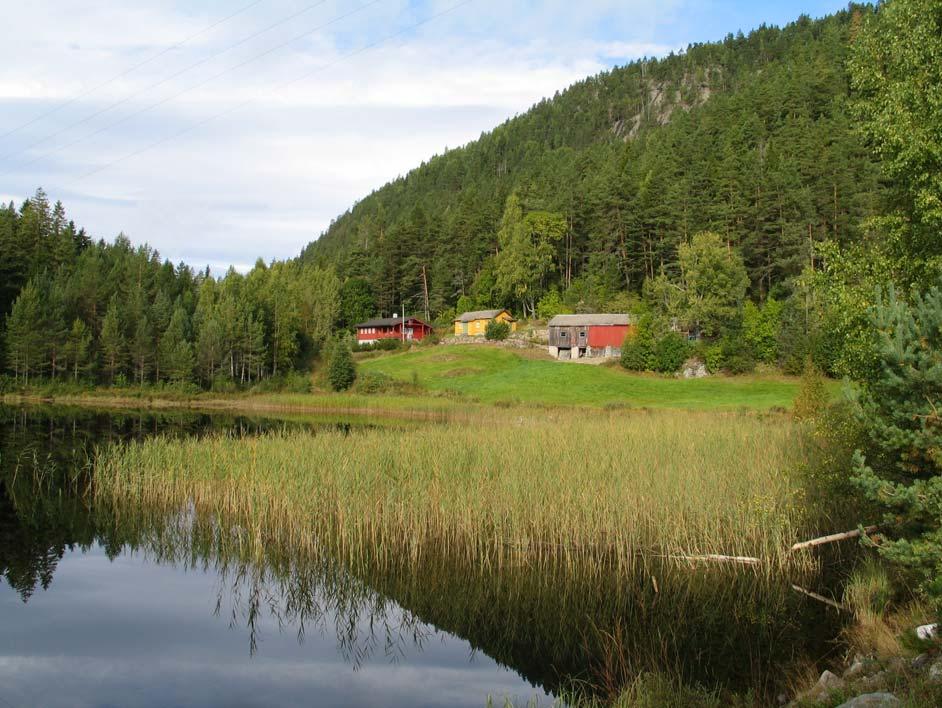 gårdstun på høydene. Bruket på bildet skal ha bakgrunn som husmannsplass, etter hvert bygd ut til fullt gårdsbruk.