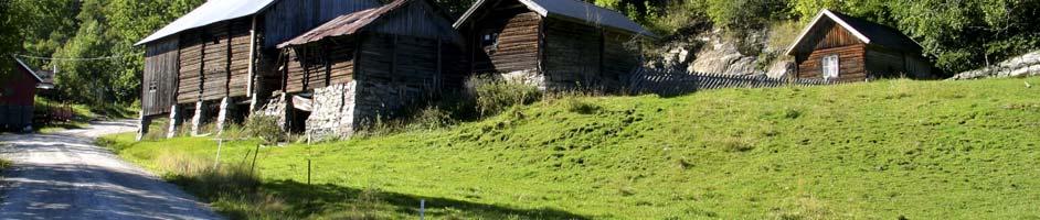 tapsprosenten nest etter krets 6 Bø i