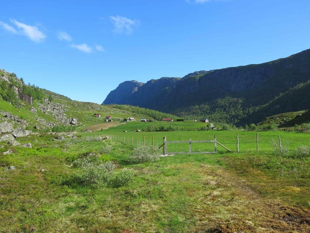 Bilete 7. Kandalstøylen i Gloppen Bilete 8.