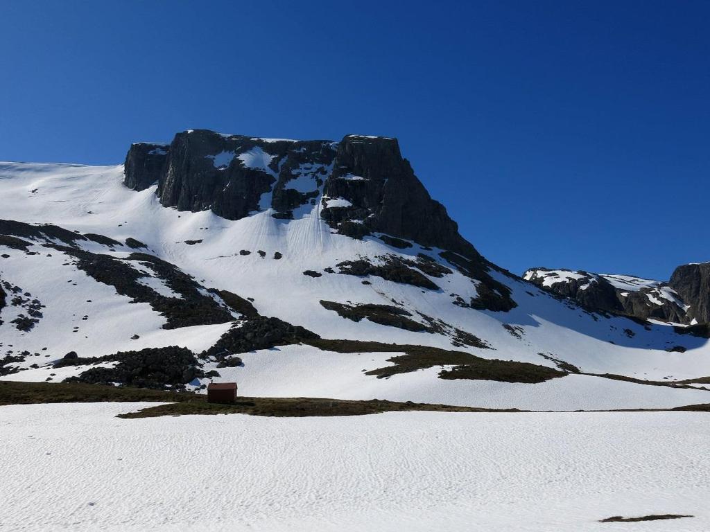 bakgrunnen.