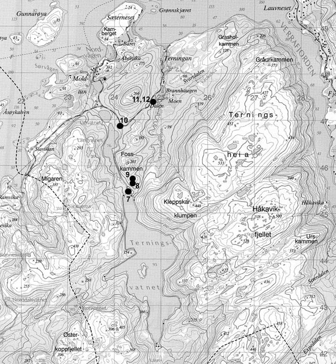 Figur 3. Kart over overvåkingsfeltene på Terningvatn. Map of the monitoring sites at Terningvatn. 2.