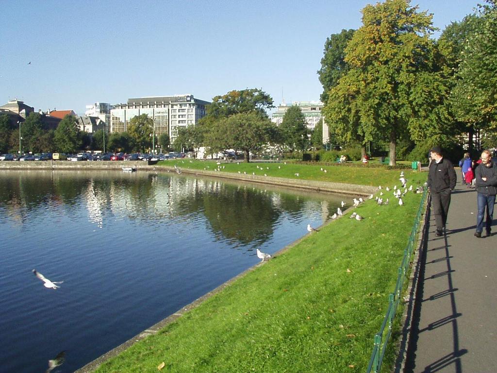 Retningslinjer for overvannshåndtering i