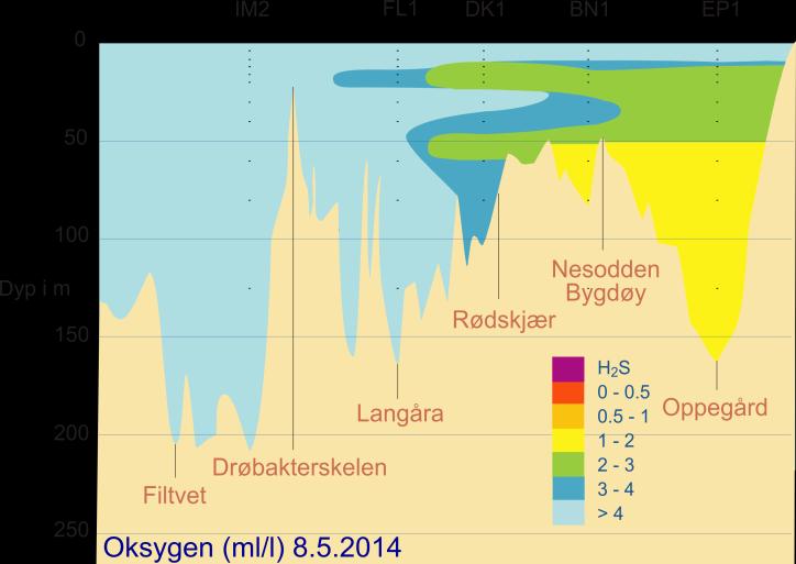 Ved Dk1 i Vestfjorden har økningen i oksygenkonsentrasjon i bunnlaget som startet i april fortsatt.