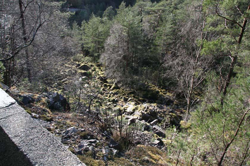 Aust for planområde, på andre sida av Kleppsvatnet (i forhold til planområde) er det registrert hjortetrekk og småvilt og kystfuruskog.