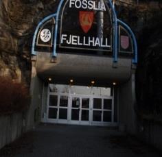 FOSSLIA FJELLHALL Energiforbruk 2016 Endring fra 2015 Vannforbruk 2016 Endring fra 2015 303 304 kwh -56 600 kwh 342 m 3-170 m 3 Energimerke Areal Byggeår Renovering, nybygg og påbygg B 2 715 m 2 1987