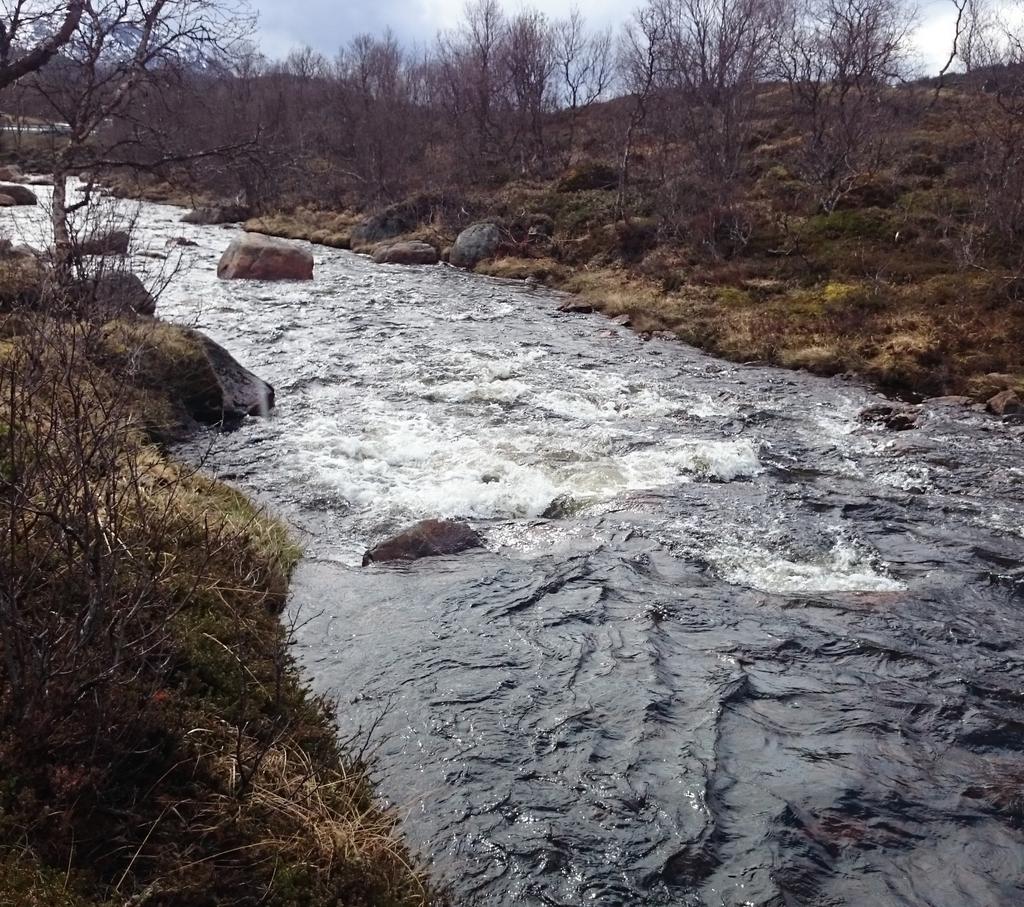 Flomberegning for Forfjordelva og Roksøyelva Andøy og Sortland kommune,