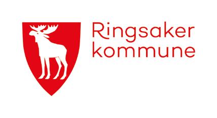 Fagansvarlig