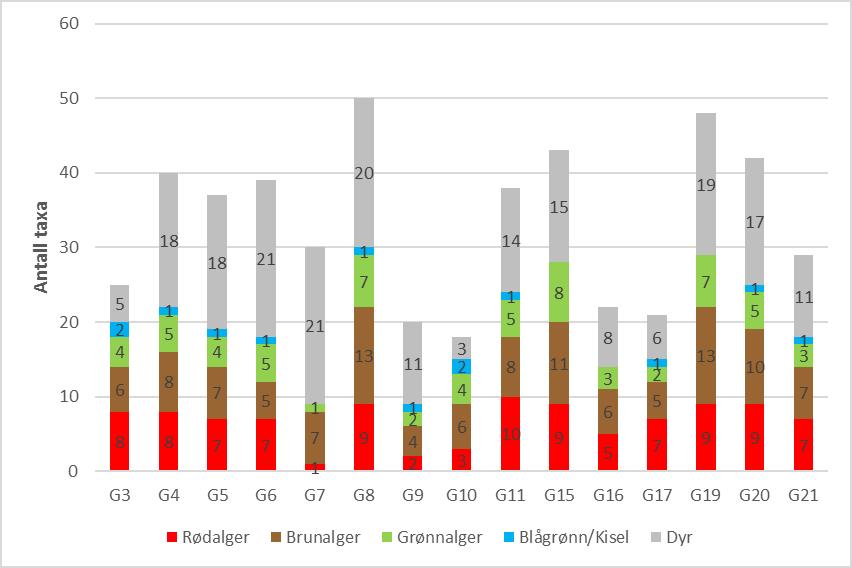 Figur 4. Fordelingen av rød-, brun- og grønnalger, blågrønnalger/kiselalger og dyr registrert på de 15 fjærestasjonene som ble undersøkt i 2016.