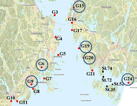 Stasjon G5 ved Tønsberg og G27 ved Hvaler har neqr-verdi på 0,6; dette er øvre verdi for «moderat» økologisk tilstand, og på grensen til «god».