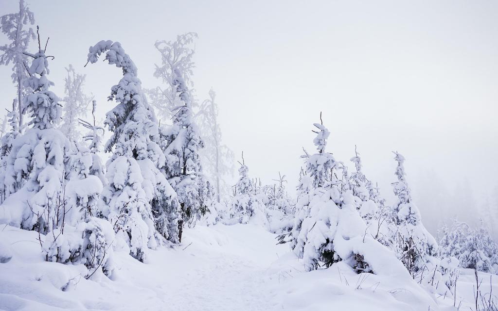 Pensjon en løypemelding I staten lovbestemt tjenestepensjon endringer må vedtas i Stortinget I kommunesektoren