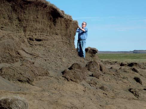 12 Heildarflatarmál nýrra landgræðslusvæða 199-27 1 þúsund hektarar 8 6 4 Heimild: Landgræðsla ríkisins 2 199 1991 1992 1993 1994 1995 1996 1997 1998 1999 2 21 22 23 24 25 26 27 Mynd 16.