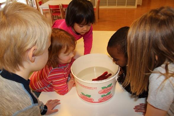 Kommunikasjon, språk og tekst 1-2 år 2-3 år 3-4 år 4-5 år 5-6 år Set namn på dei daglege aktivitetane Når barnet seier ete, svarar den vaksne Ja, no skal vi ete Ser i enkle biletbøker, syng mykje og