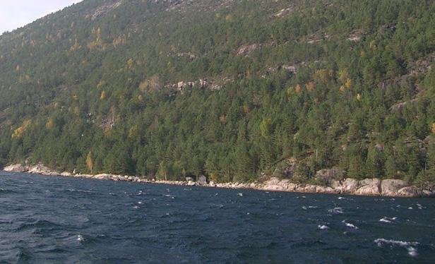 Lysefjorden med Tuftene og vegtrasé. Utløp av Dalaåna i Lysefjorden. Forureining og ferskvatn Vasskvaliteten i Dalaånavassdraget er næringsfattig og svakt forsura.