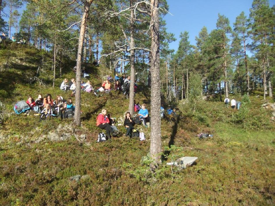 salamander med håv og ruser i Vollsvatnet, Stidam øst, Stidam vest, Aeshnahølet og Raudmyrtjønna.