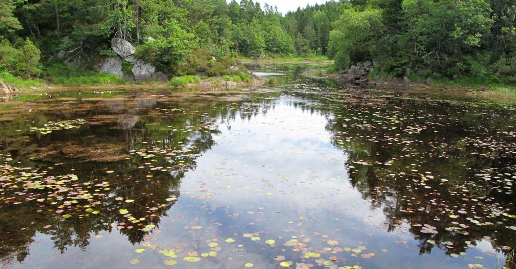 vannet. Avrenningen fra kalkområdene til vannet har ingen eller svært liten betydning for kalkinnholdet. Det henger sammen med det store nedslagsfeltet som stort sett drenerer vann fra sure bergarter.