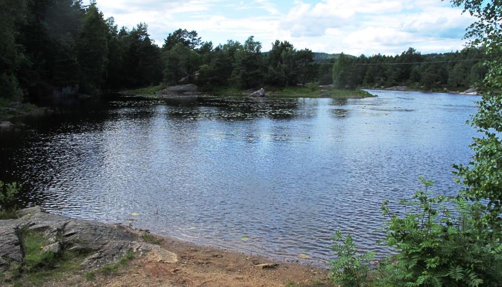 6. NEDRE JEGERSBERGSVATN (Kristiansand) Status: Humusrikt, oligotroft vann. Verdi: Ikke verdivurdert Lok.