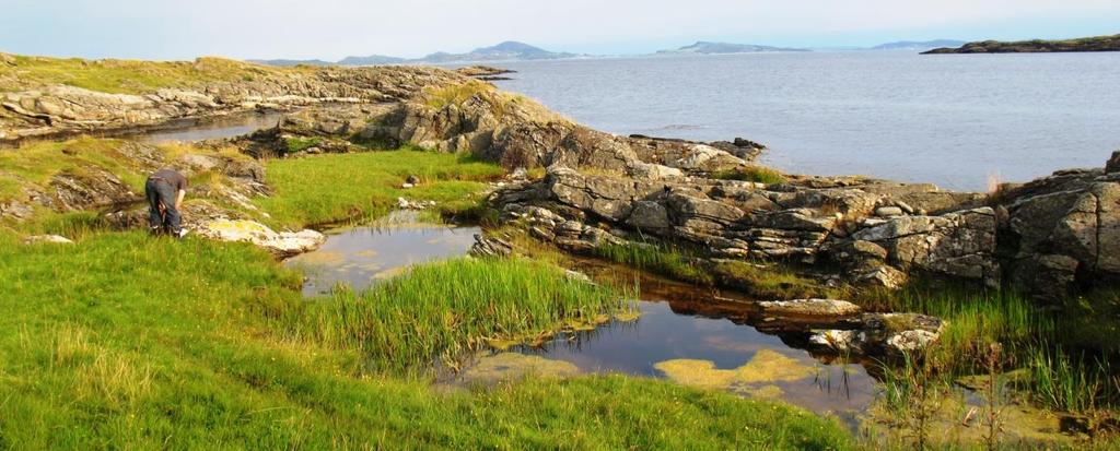 Vurdering og verdisetting Den lille pytten på Djuphammar er definisjonsmessig en kalksjø (E07). Den har også en truet vegetasjonstype i P5c) Vanlig kransalge- utforming (Chara globularis, C. virgata).