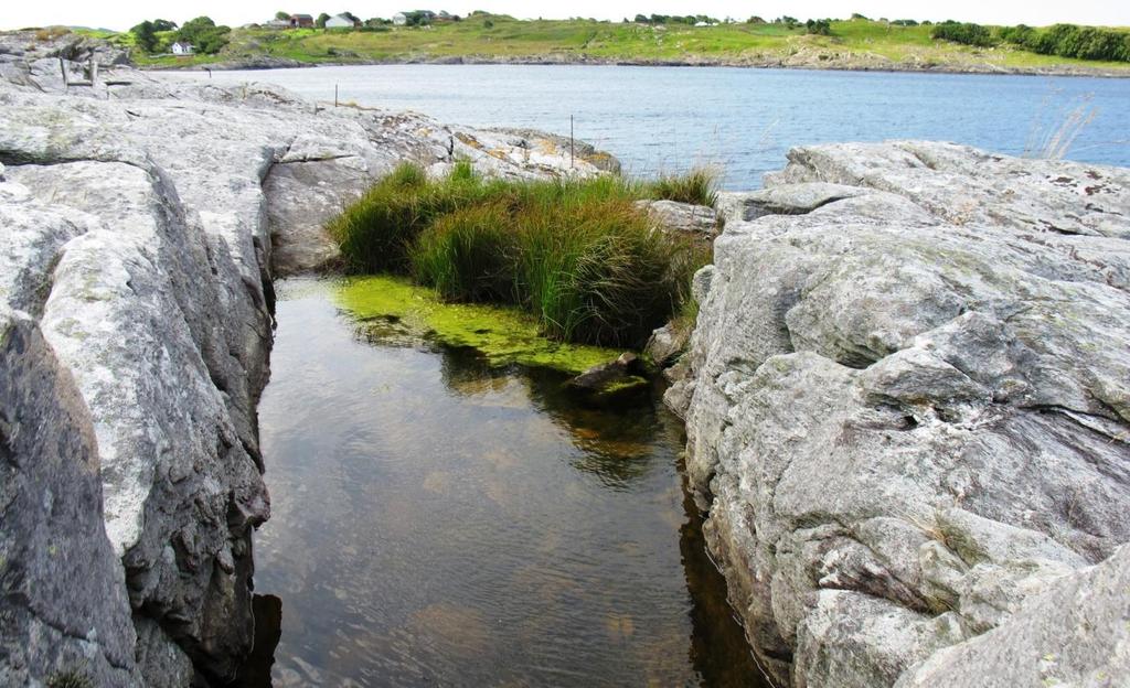 18. GALTA (Rennesøy) Status: Humusrik kalksjø (E0703). Verdi: B Lok.