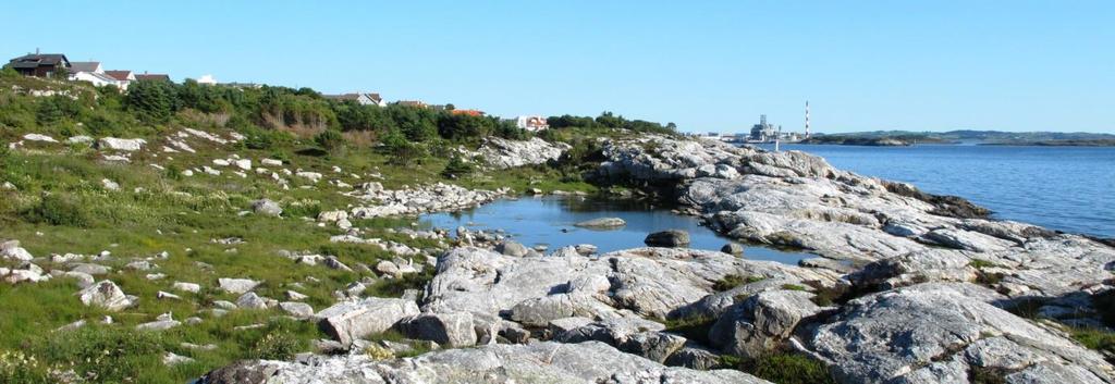 Vurdering og verdisetting Lille Stokkavatn er en mesotrof, kalkrik sjø. Det er ikke observert noen truete vegetasjonstyper av de typene som er beskrevet i handlingsplanen for kalksjøer.