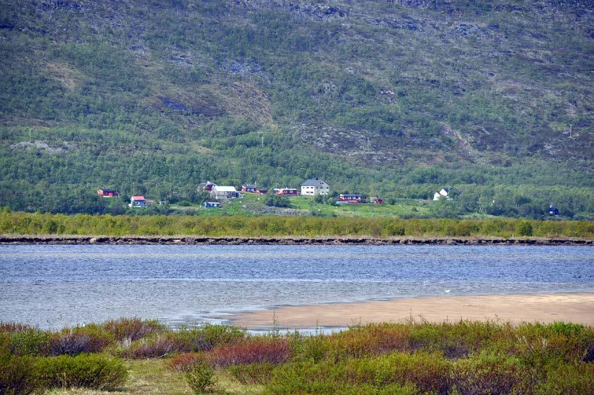 Parker ikke nær deres eiendommer og hindre ikke andre kjøretøyers framkommelighet. Veien er en grusvei i nordre del og til dels i dårlig forfatning.