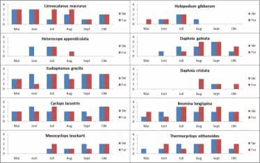 Figur 30. Tidsutviklingen i individtetthet og biomasse av mysis ved Skreia i perioden 1976-2012. Til venstre: middelverdier av individantall.