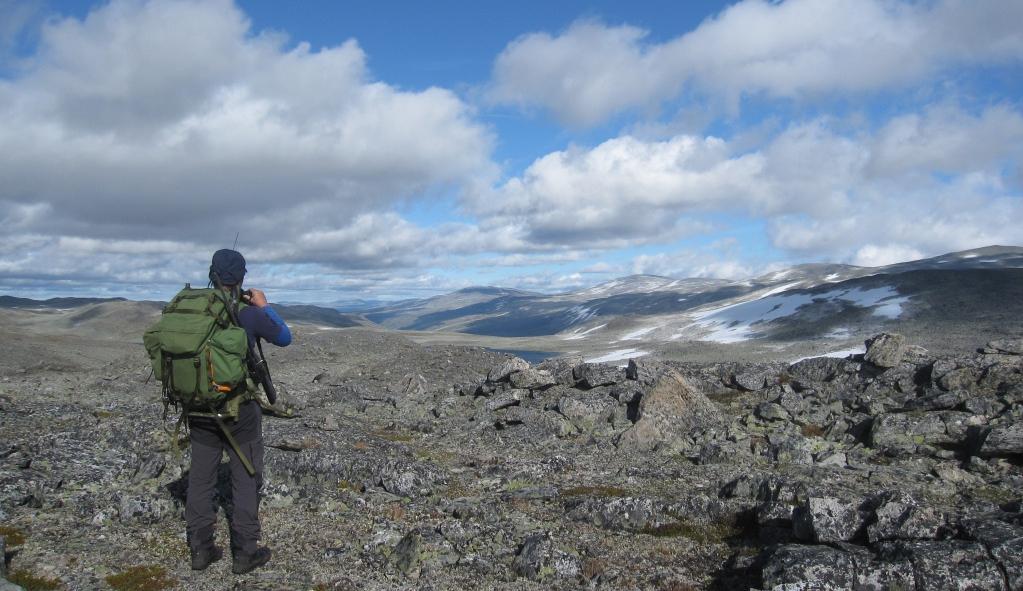 Motorferdsel I Sogn og Fjordane har det vorte gjennomført sporadisk kontroll av motorferdel, men ingen fellesaksjonar med politi.