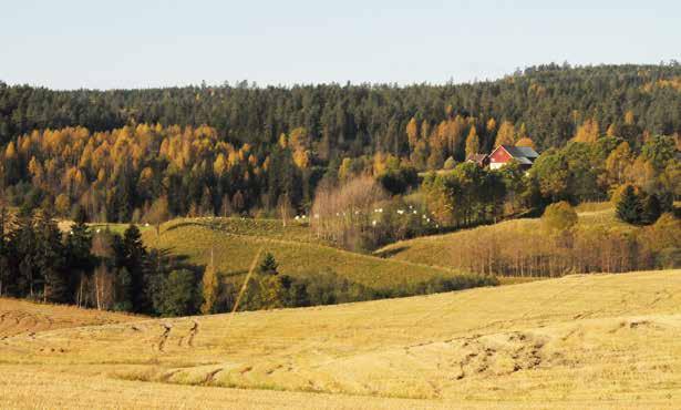 15 I Norge vet vi at det er to vekstfaktorer som varier mye gjennom vekstsesongen. Det er lys og temperatur.